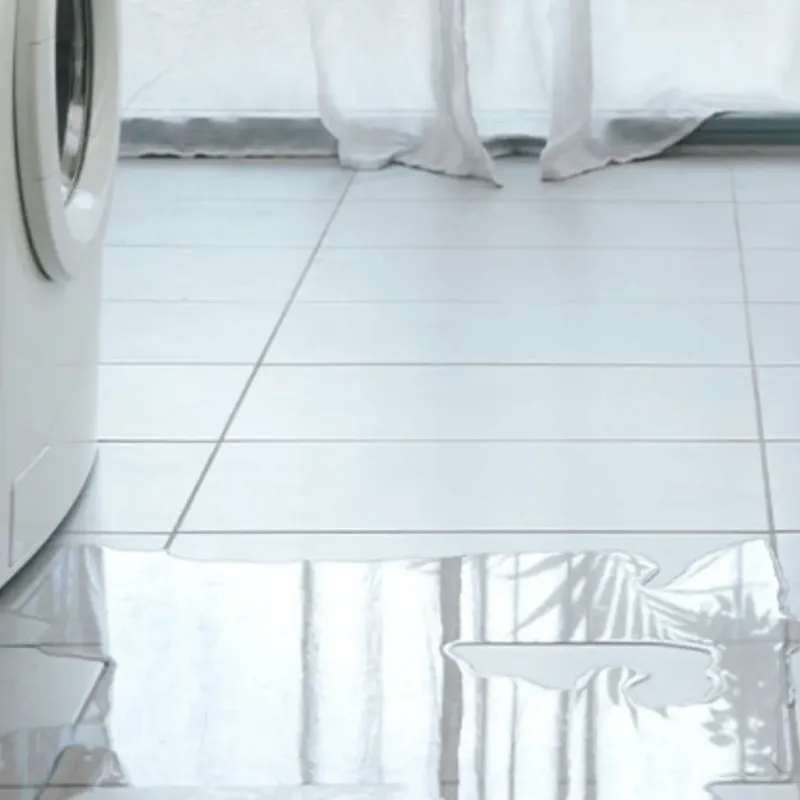 Appliance Leak Cleanup in New Richmond, OH