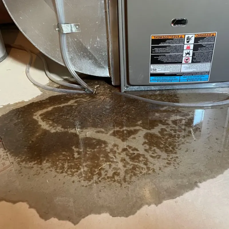 Pipe Burst and Leak Restoration in New Richmond, OH